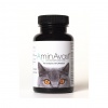 AMINAVAST Cat pro sprvnou funkci ledvin u koek 60 kapsl