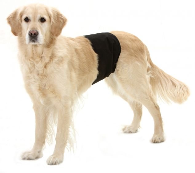 Karlie Inkontinenční kalhoty pro psy černé  40x10cm