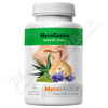 MycoMedica MycoGastro 90 g prášku