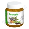 Reumafit kostivalov gel s jalovcem+MSM 350g