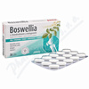 Favea Boswellia s chondroitinem a kolagenem tbl. 30